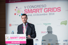 Fernando-Garcia-FutuRed-Mesa-Redonda-2-5-Congreso-Smart-Grids-2018