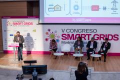 Francisco-Javier-Ferrandez-Universidad-Alicante-Ponencia-2-5-Congreso-Smart-Grids-2018
