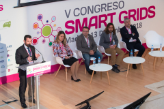 Francisco-Javier-Lopez-Everis-Ponencia-3-5-Congreso-Smart-Grids-2018