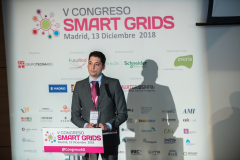 Jesus-Torres-Fundacion-Circe- Ponencia-2-5-Congreso-Smart-Grids-2018