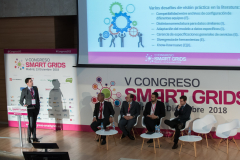 Jesus-Torres-Fundacion-Circe- Ponencia-3-5-Congreso-Smart-Grids-2018