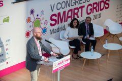 Stefan-Junestrand-Grupo-Tecma-Red-Clausura-2-5-Congreso-Smart-Grids-2018