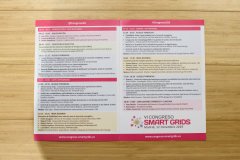 025-16-Material-Congresista-6-Congreso-Smart-Grids-2019