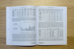 026-15-Libro-Comunicaciones-6-Congreso-Smart-Grids-2019