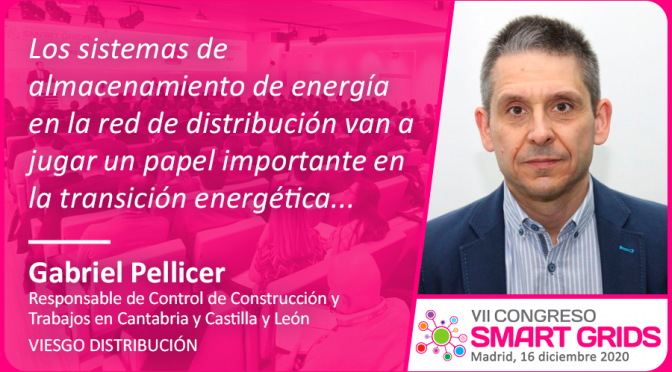 Gabriel Pellicer de Viesgo Distribución